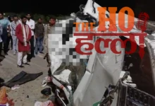 Neelgai Causes Accident and Major Injuries Reported