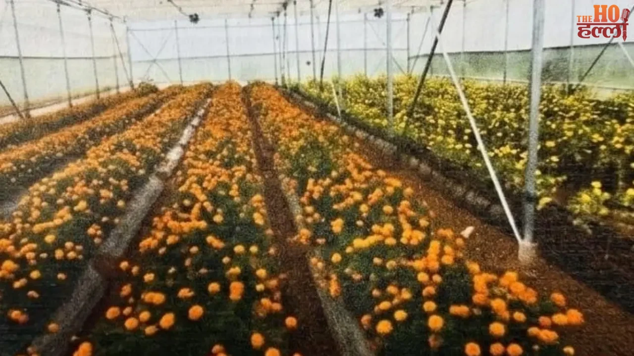 Preparations Underway for a Flower Revolution in Ramnagari