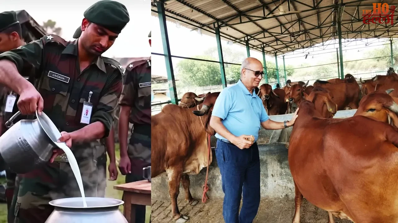 Soldiers are getting fitness through cow service in UP