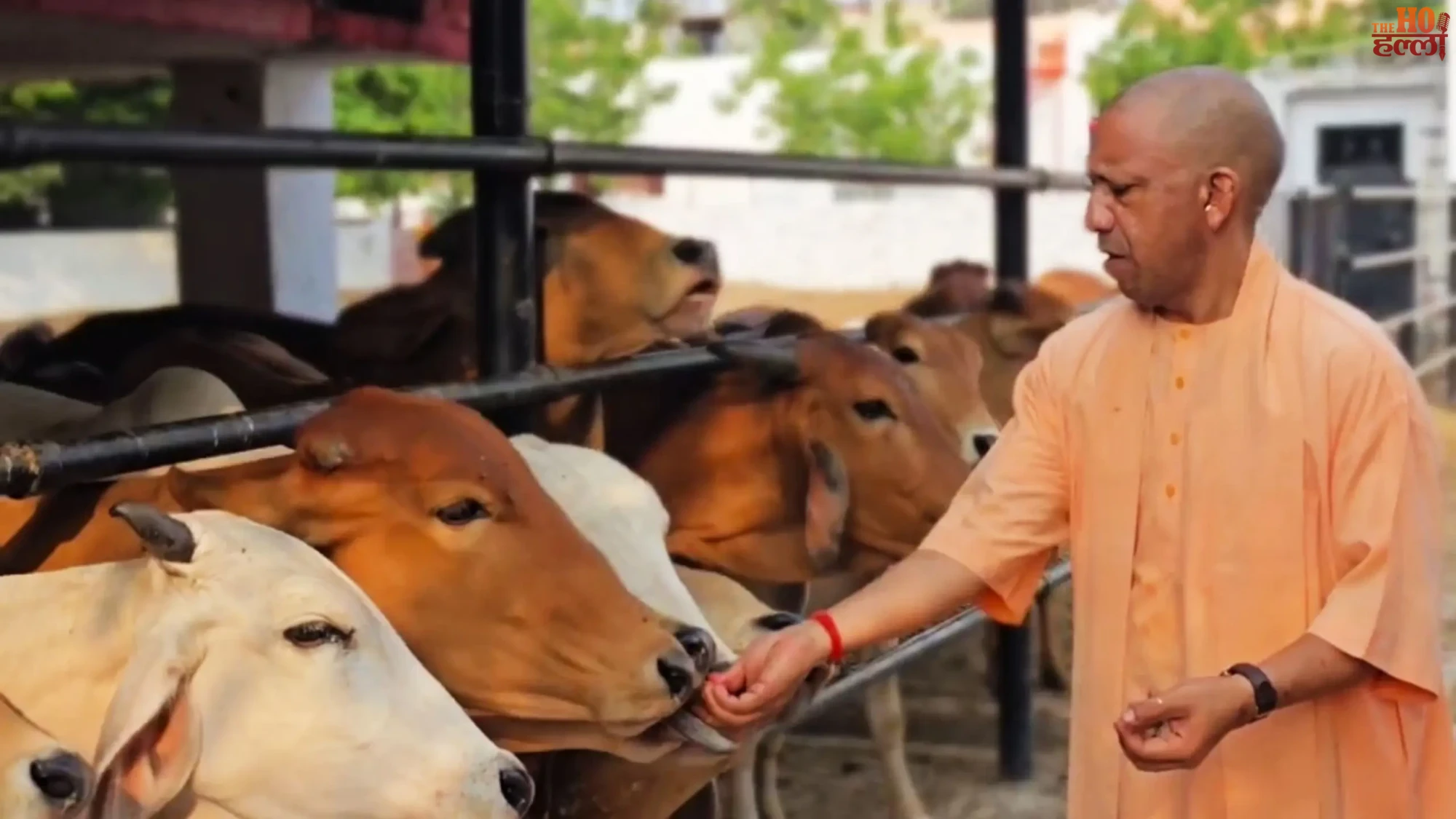 UP CM Yogi Janata Darshan Grievances Addressed