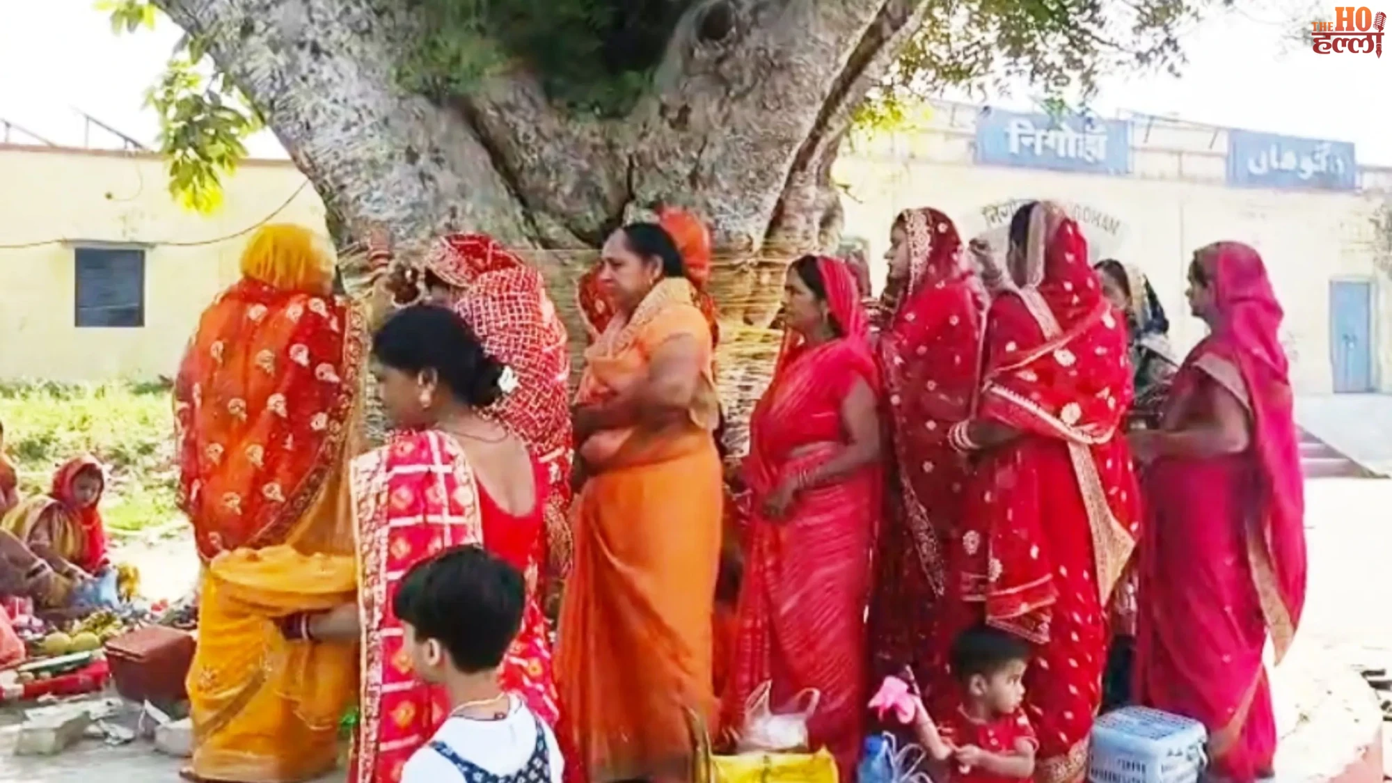 Vat Savitri Vrat Tradition of Worshiping the Banyan Tree