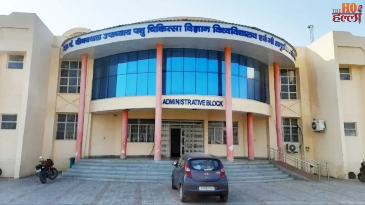 Veterinary Students' Difficulties Are Resolved Allowances