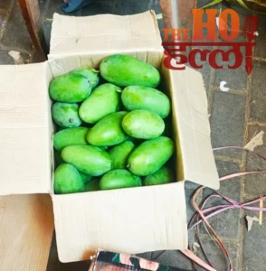 WhatsApp Image 2026-05-15 at 2.32.30 PM (1)
