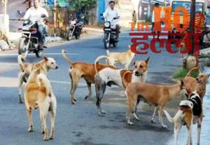 WhatsApp Image 2026-05-19 at 2.00.00 PM