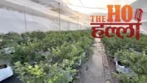 Blue Revolution in Dehradun Transforming Farming Lives (1)