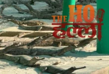Kukrail's Success Story Gharials and conservation