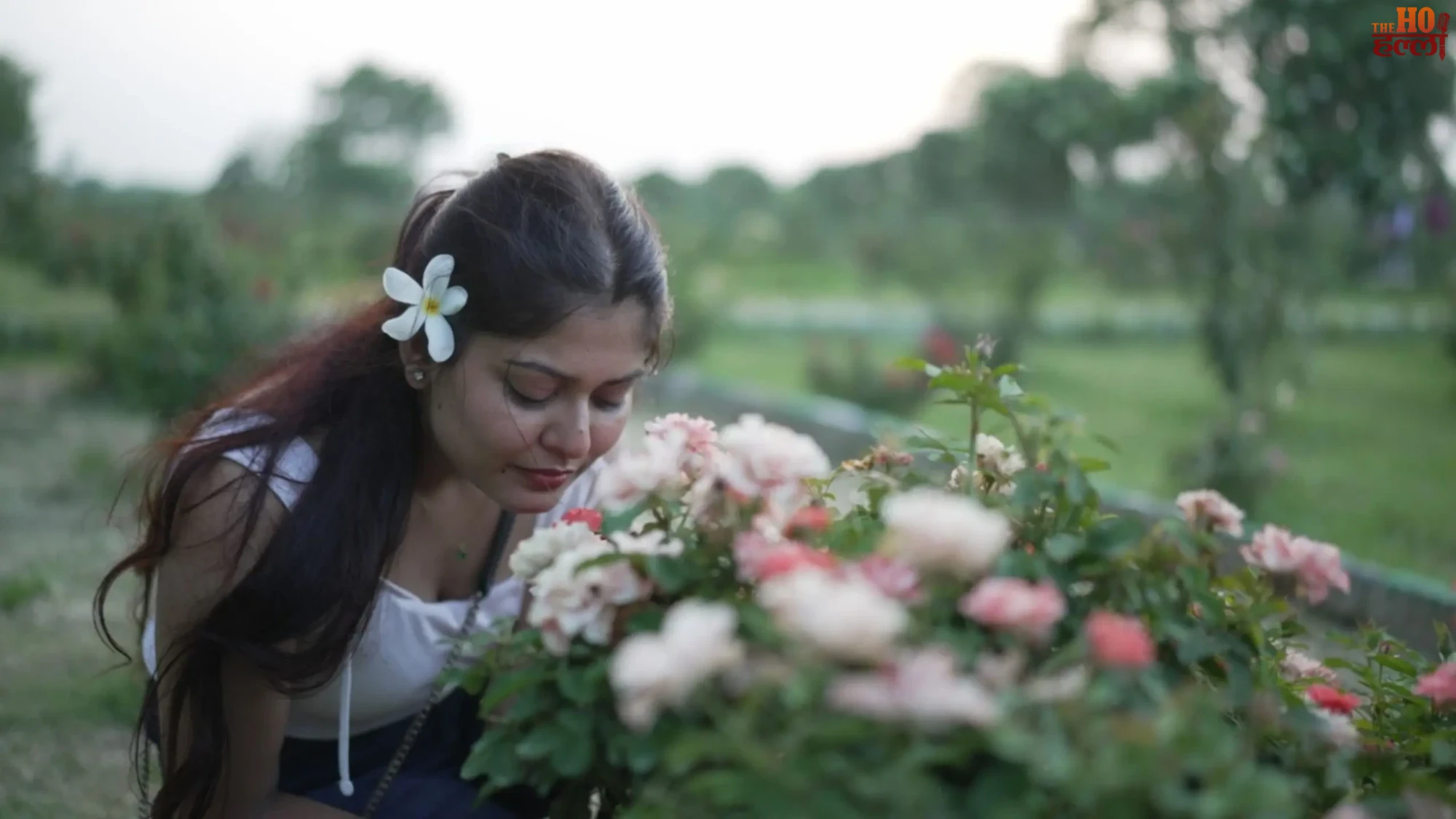 Lucknow Rose Garden Blooms in Scorching Summer