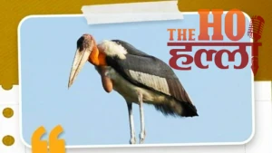 pm-modi-mann-ki-baat-135th-episode-june-2026-highlights (2)