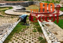 Saharanpur Tourism India Map Shaped Lake Developments