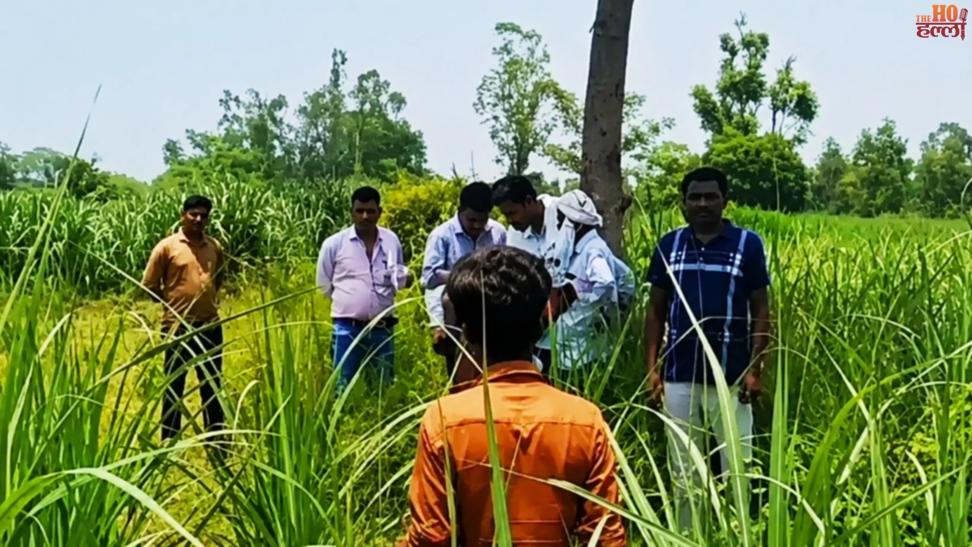Tiger Scare in Village Nilgai Limits Safety Measures