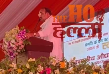 UP Becoming a Major Hub for Honey Production Growth