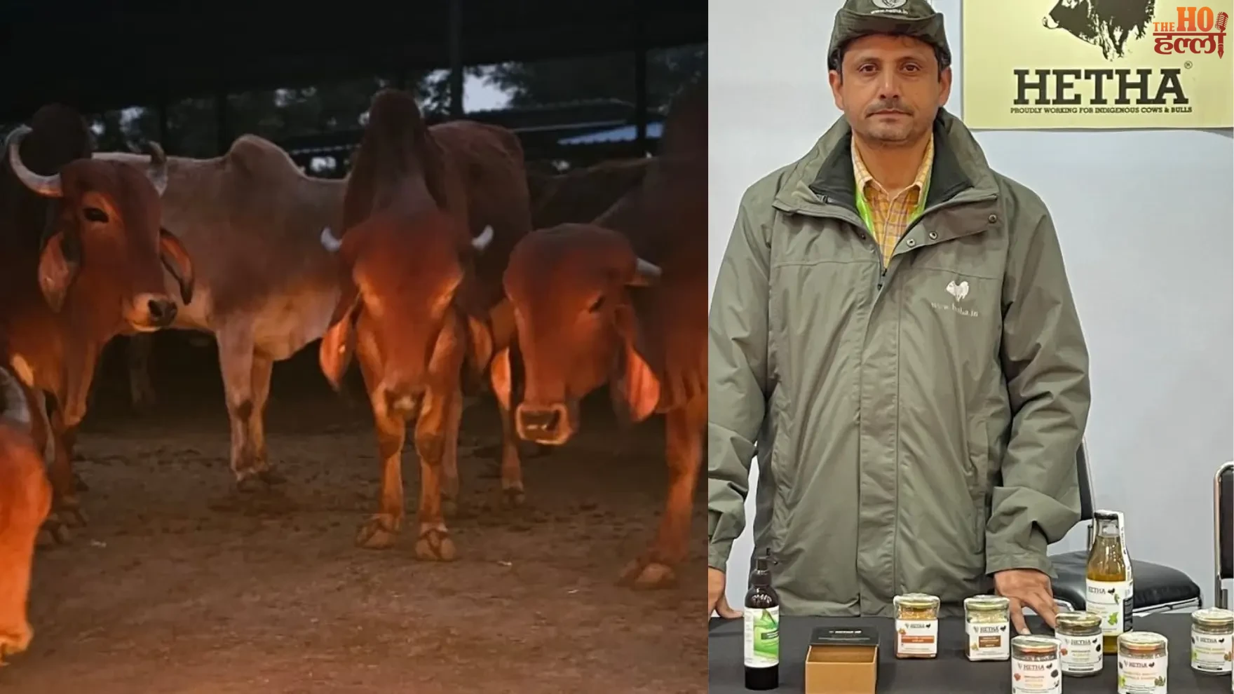 UP’s Cow Conservation Model Gains Global Recognition