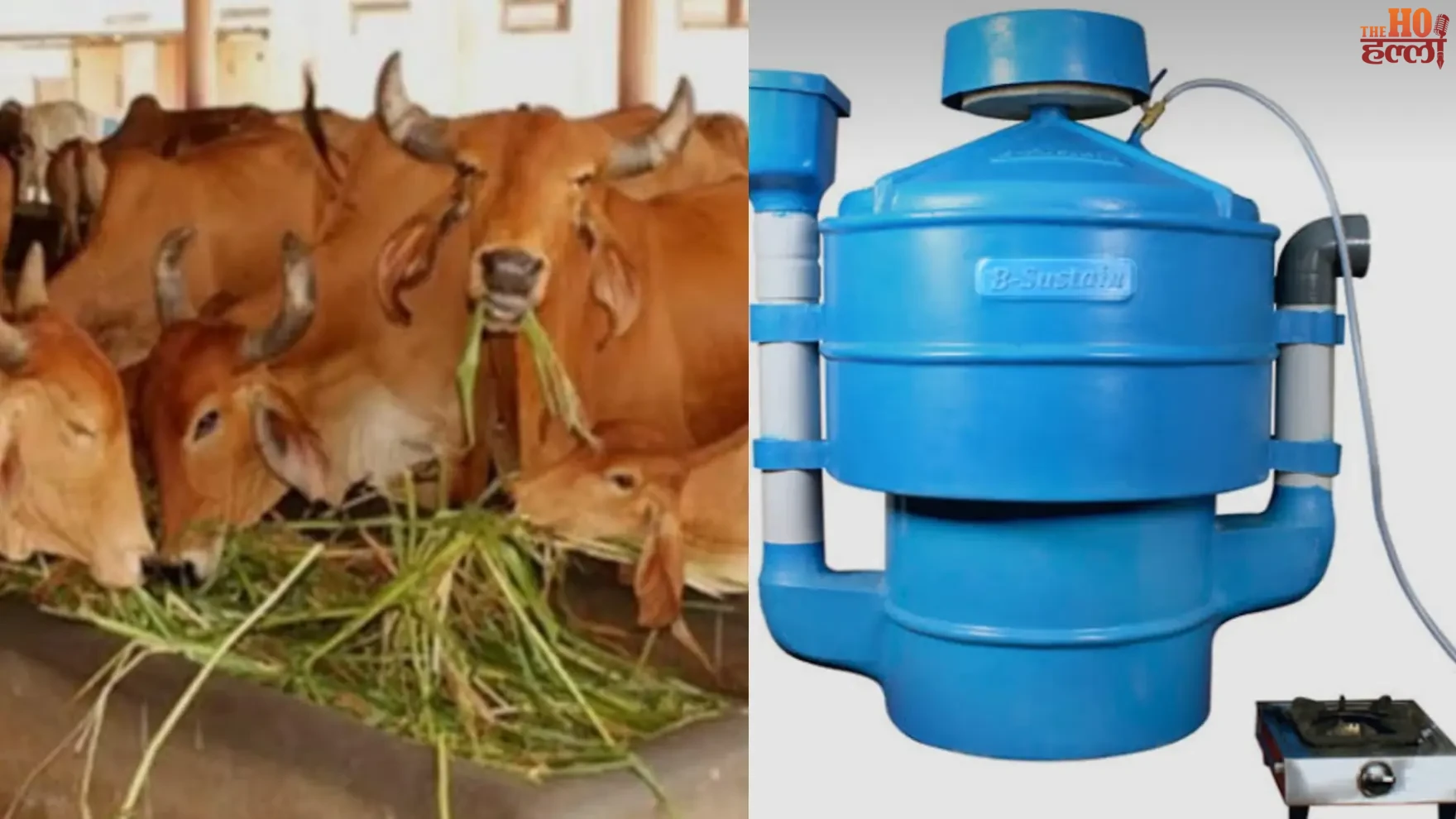 UP to Install Mini Biogas Plants in One Lakh Households
