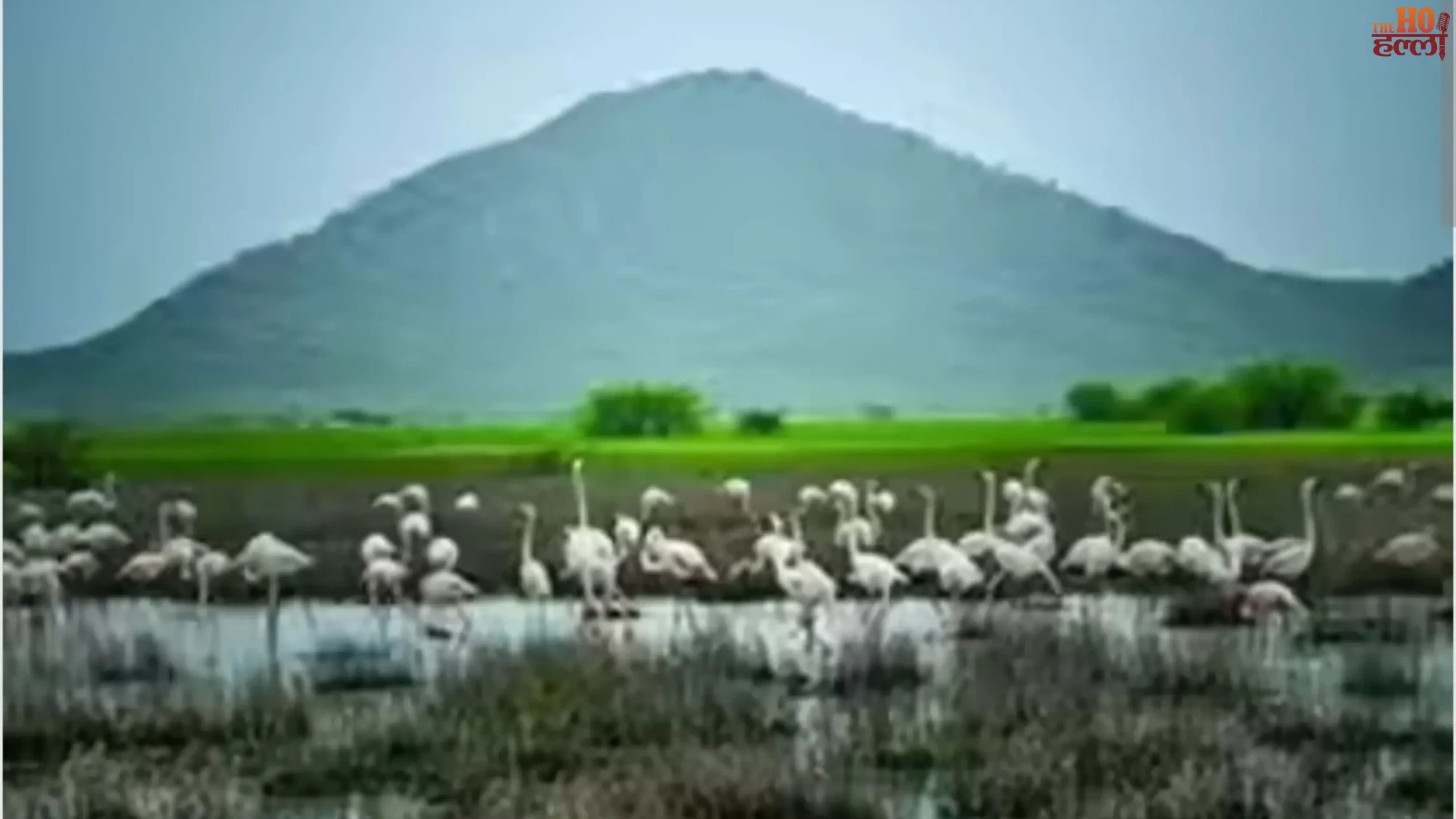 up-wetland-conservation-yogi-govt-notifies-101-wetlands-ramsar-site