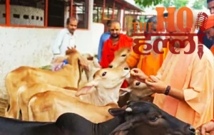 WhatsApp Image 2026-06-05 at 8.01.22 AM (1)