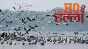 up-environment-protection-green-development-yogi-government-achievements