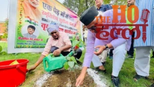 green-up-governor-anandiben-patel-plants-sandalwood-lucknow (3)