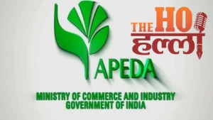 kashipur-frozen-french-fries-exported-to-iraq-uttarakhand-agri-export-apeda (2)