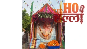 lucknow-jagannath-rath-yatra-motinagar-gaudiya-math-sudha-sindhu-maharaj (3)