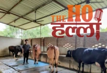 mini-nandini-yojana-pratapgarh-shivam-singh-dairy-success-story