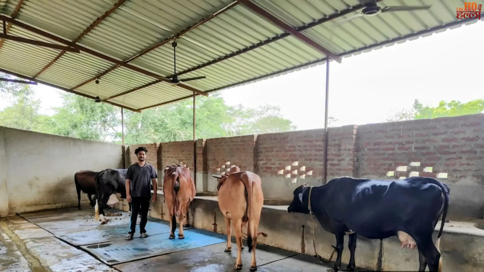 mini-nandini-yojana-pratapgarh-shivam-singh-dairy-success-story
