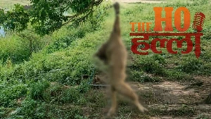 prayagraj-stray-dog-attack-pathakpur-kheri-12-injured-villagers-action (2)