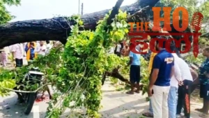 unnao-road-accident-tree-falls-on-moving-bike-youth-dies-sandila-road (2)