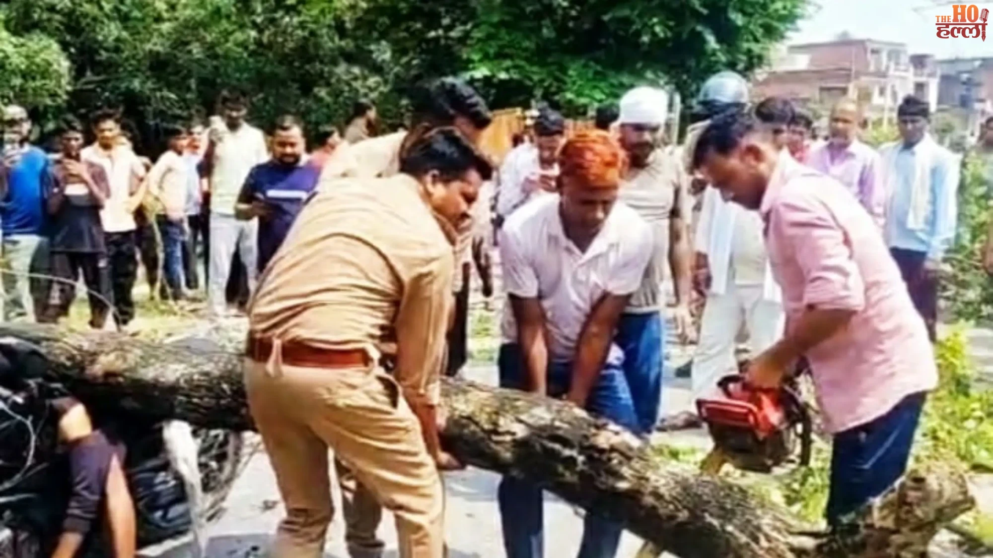 unnao-road-accident-tree-falls-on-moving-bike-youth-dies-sandila-road