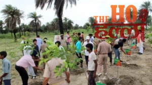 up-environment-protection-green-development-yogi-government-achievements (2)