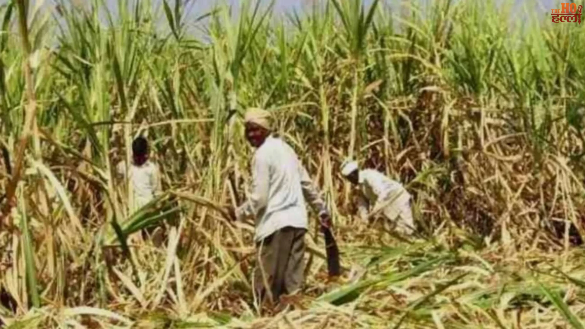 up-govt-suraksha-kawach-mission-sugarcane-farmers-insurance-campaign
