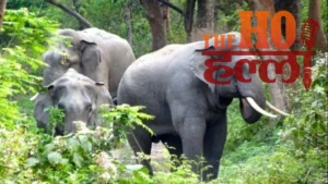 up-katarniaghat-wildlife-sanctuary-tourism-records-revenue (2)