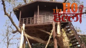 up-katarniaghat-wildlife-sanctuary-tourism-records-revenue (3)