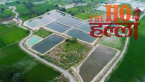 us-returned-engineer-sujit-choudhary-fish-farming-rae-bareli (2)