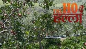 uttarakhand-apple-farming-success-pauri-garhwal-farmers-earnings (4)