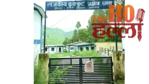 chham-broiler-hatchery-tehri-poultry-farming-se-saste-chuje (2)