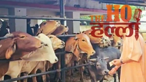 gorakhnath-mandir-yogi-janta-darshan (3)