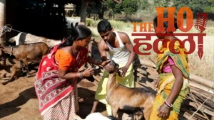 kanpur-dehat-news-pashu-sakhi-shweta-success-story-nrlm-scheme (2)