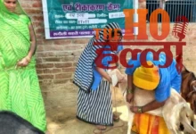kanpur-dehat-news-pashu-sakhi-shweta-success-story-nrlm-scheme