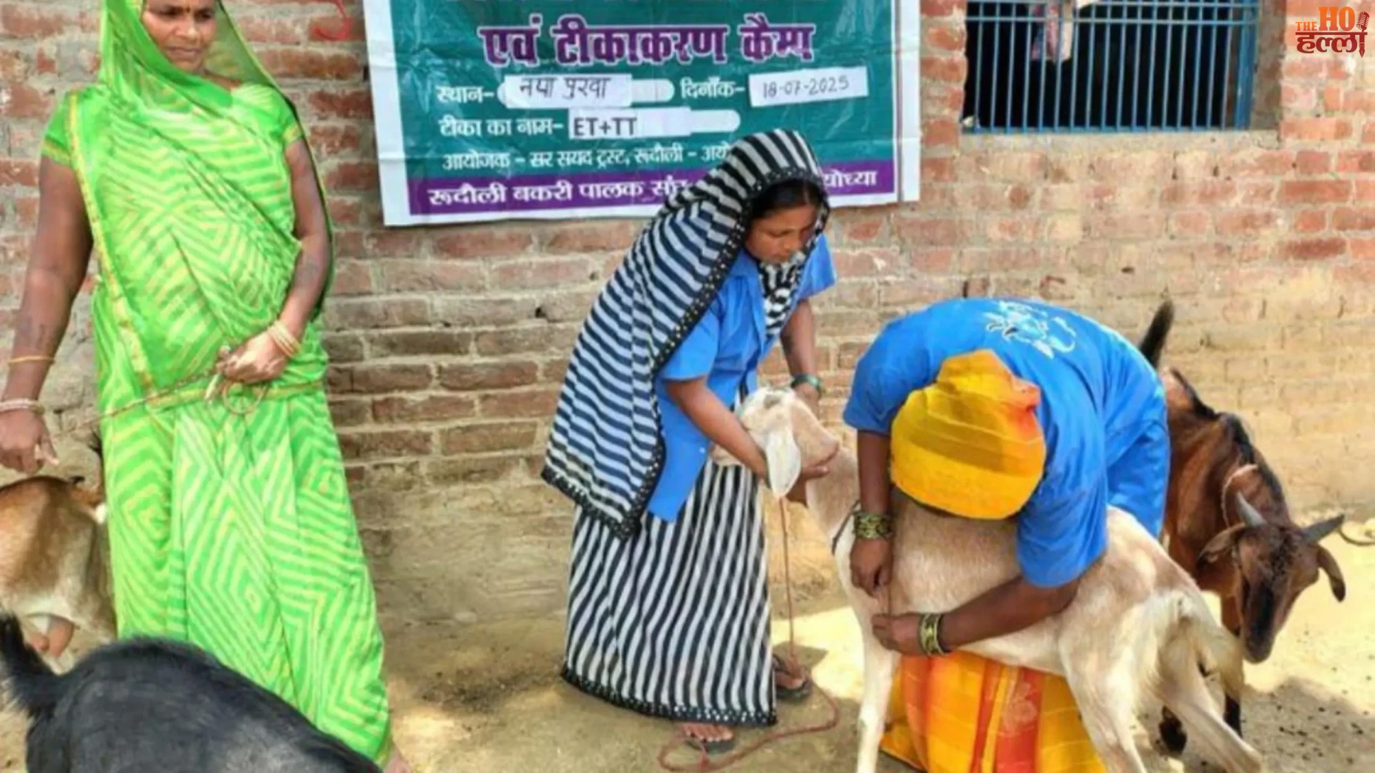 kanpur-dehat-news-pashu-sakhi-shweta-success-story-nrlm-scheme