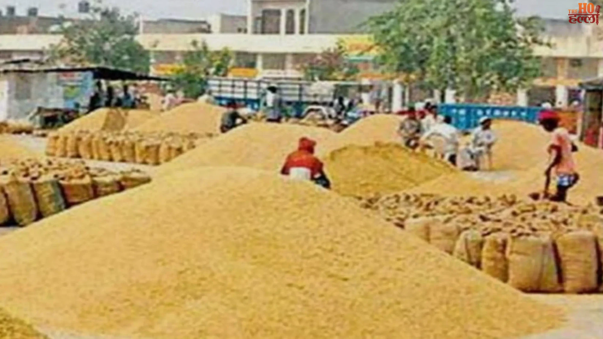 MSP Shield in UP Aiding 51 Lakh Farmers