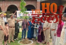 raksha-bandhan-up-1-lakh-plants-59-raksha-bandhan-vatikas