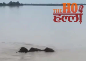 up-barish-24-ghante-muawza-yogi-sarkar1