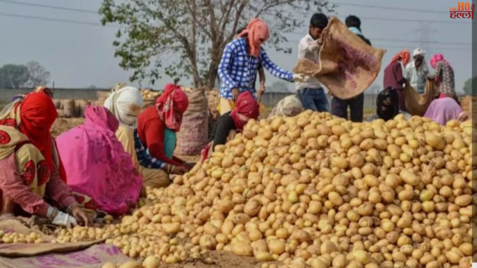 up-me-aaloo-kisanon-ko-storage-par-milegi-badi-subsidy