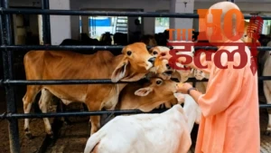 yogi-janta-darshan-gorakhpur-bhu-mafia (3)