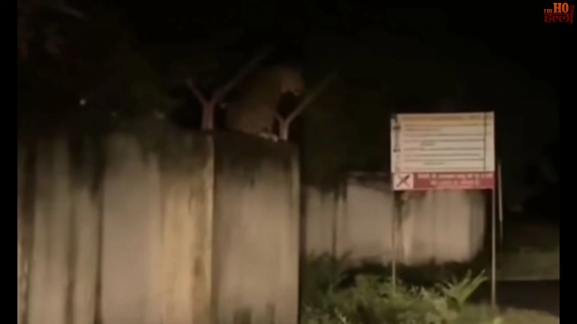 ayodhya-cantt-meeranghat-range-leopard-sighting-video-viral-forest-department