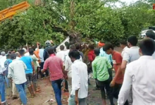 ayodhya-heavy-rain-storm-trees-fallen-masodha-market-teenager-killed