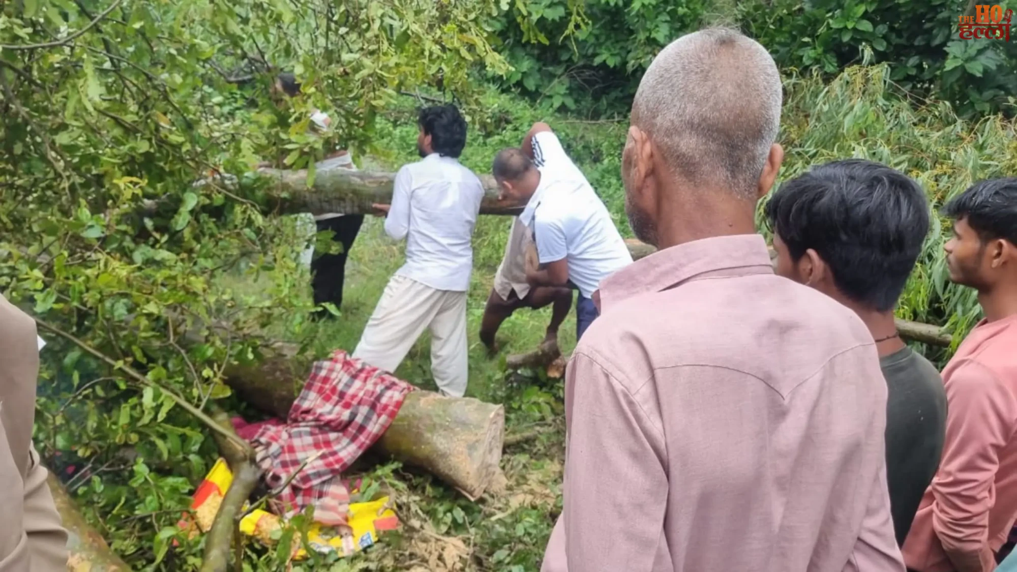 barabanki-dariyabad-elderly-woman-dies-under-fallen-jamun-tree-rain (2)