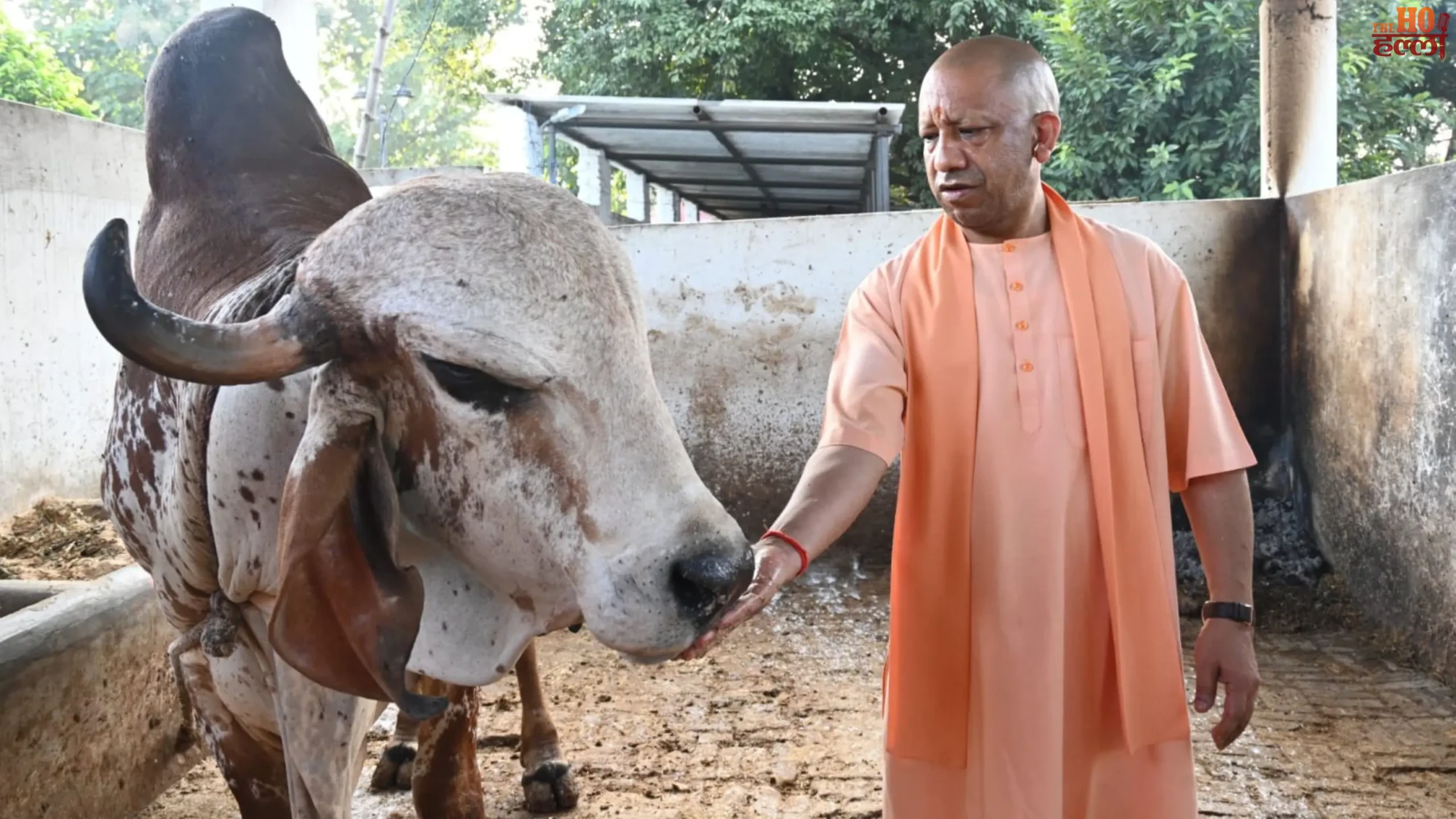 gorakhpur-news-cm-yogi-janta-darshan-strict-action-land-encroachment (2)