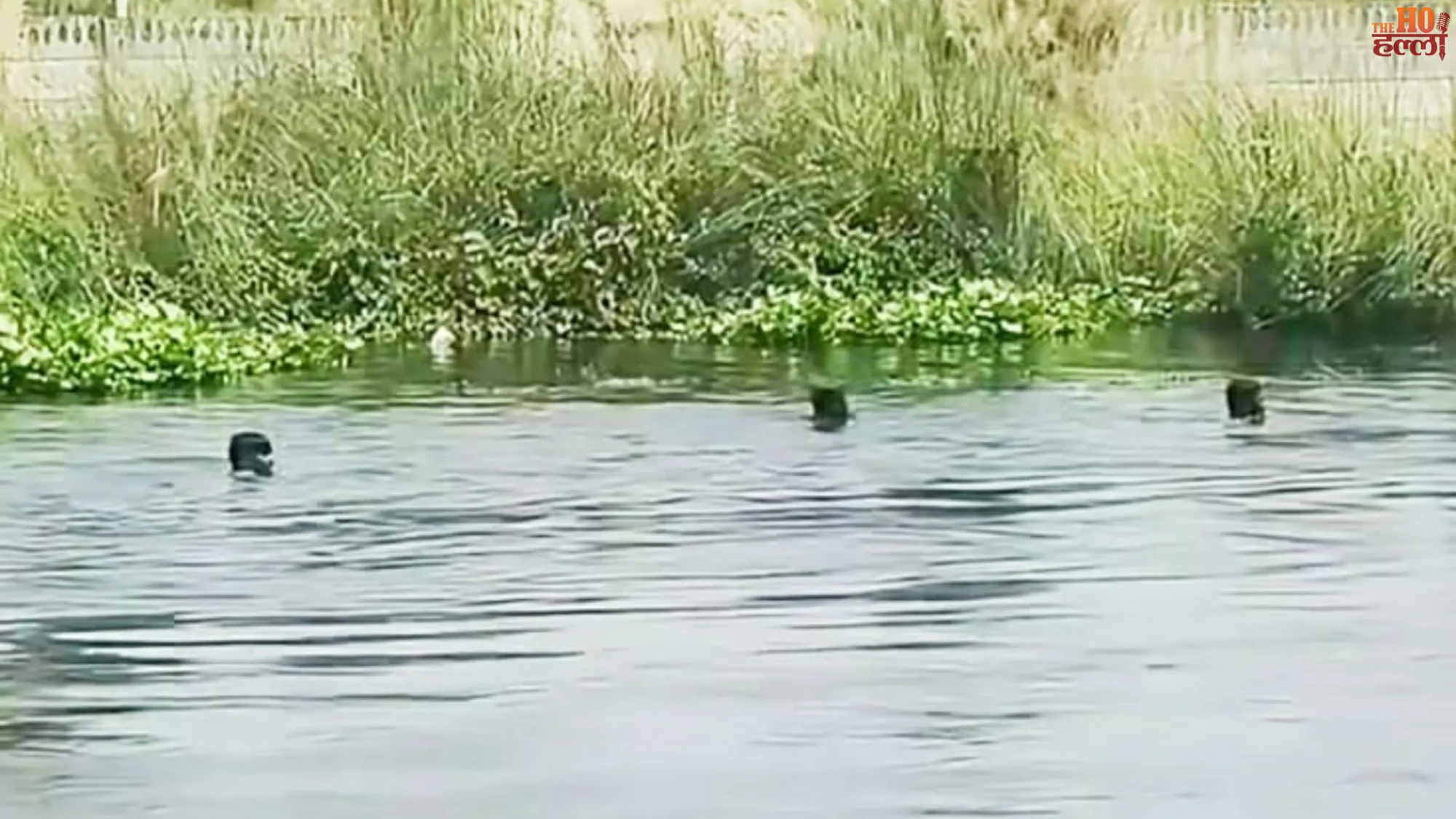 hardoi-youth-fakes-suicide-jumps-video-sai-river-found-noida-hotel (2)