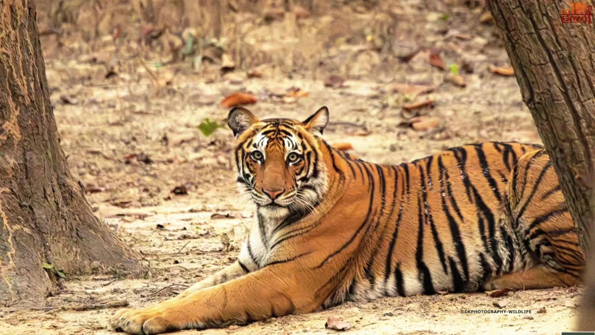 up-eco-tourism-wildlife-projects-dudhwa-ranipur-saras-circuit-yogi-govt (2)